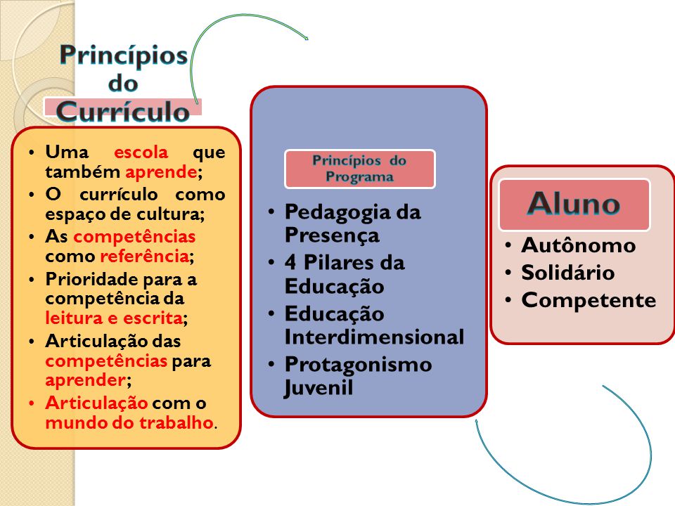 Princípios do Currículo Princípios do Programa