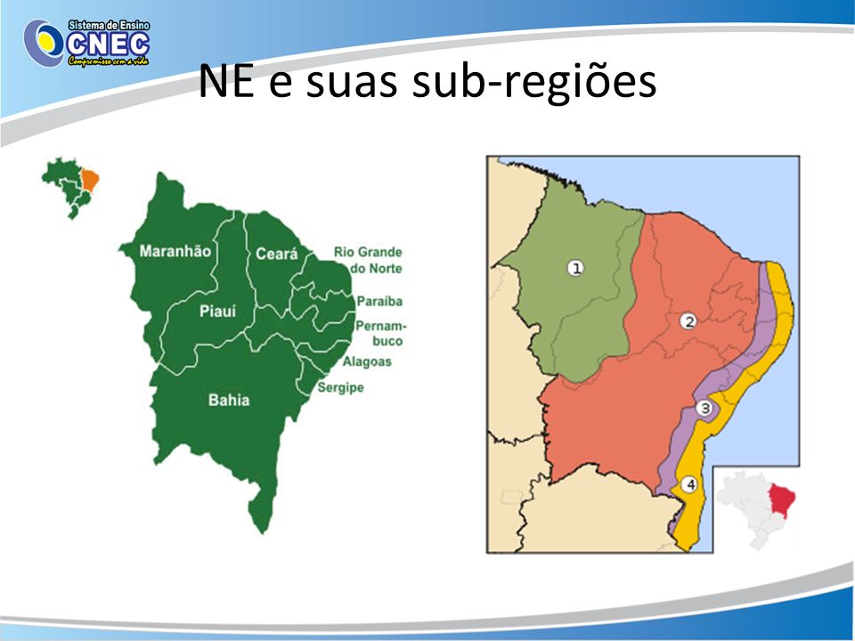 NE e suas sub-regiões