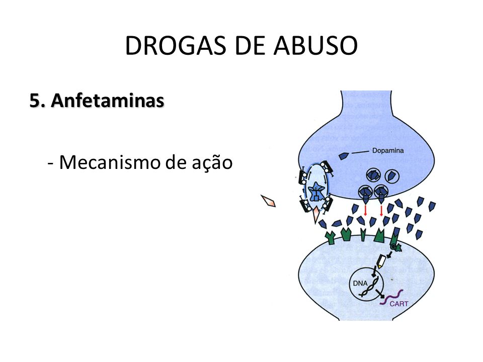 DROGAS DE ABUSO 5. Anfetaminas - Mecanismo de ação