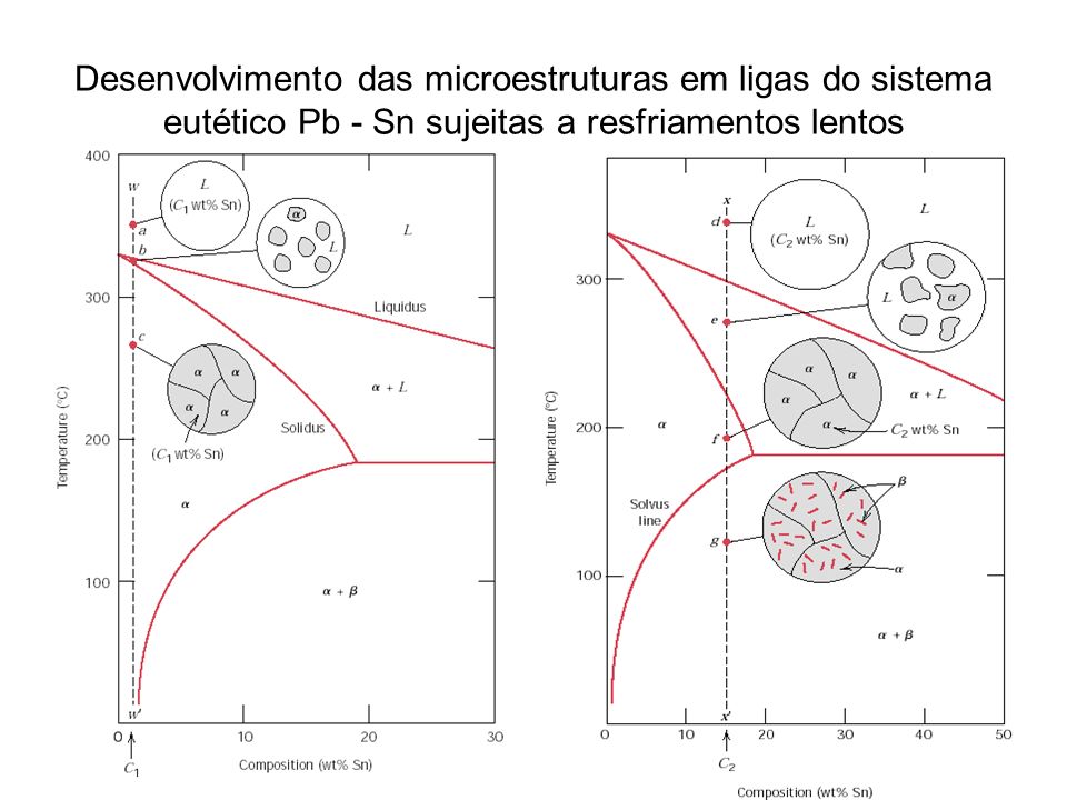 Desenvolvimento das microestruturas em ligas do sistema eutético Pb - Sn sujeitas a resfriamentos lentos