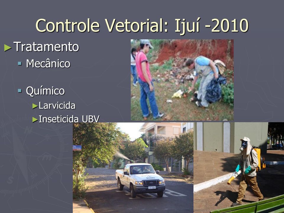 Controle Vetorial: Ijuí -2010