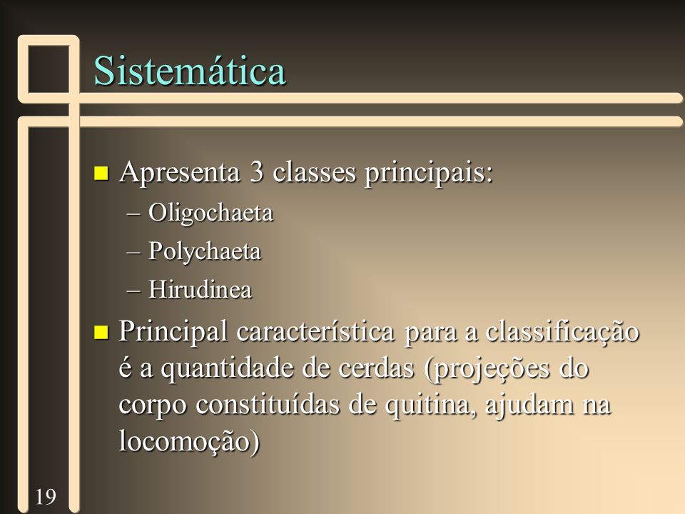 Sistemática Apresenta 3 classes principais: