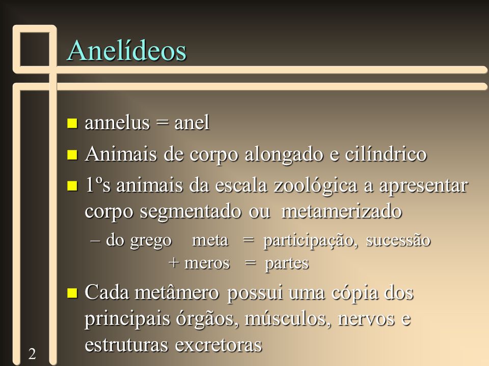 Anelídeos annelus = anel Animais de corpo alongado e cilíndrico