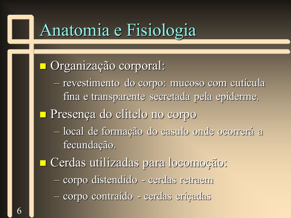 Anatomia e Fisiologia Organização corporal: