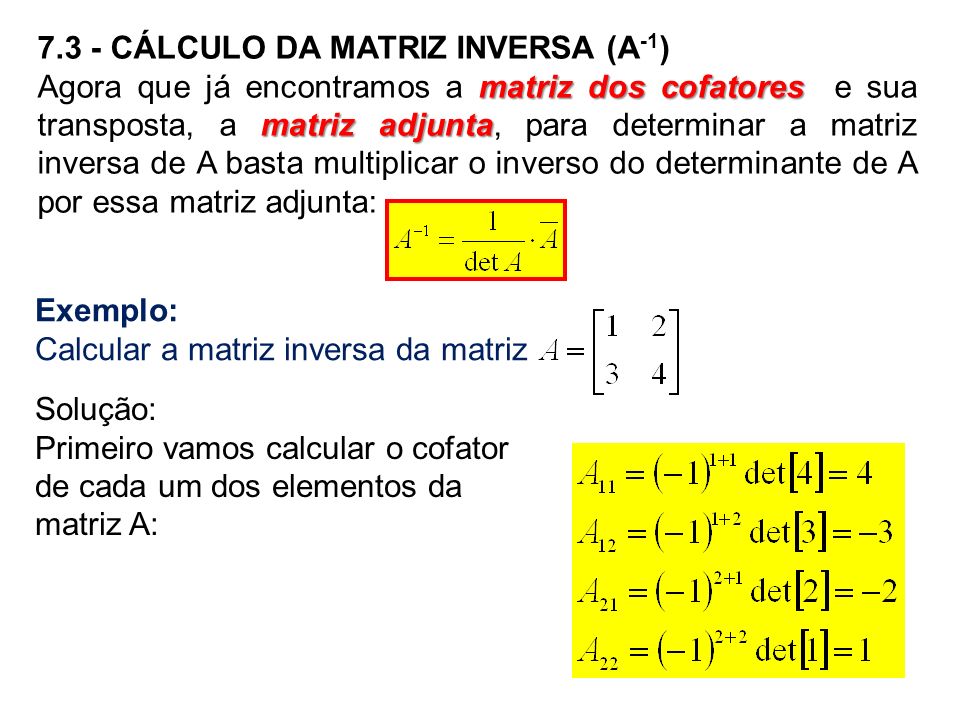 Exemplo: Calcular a matriz inversa da matriz