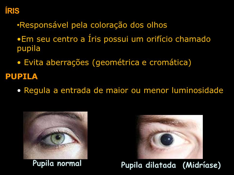 ÍRIS Responsável pela coloração dos olhos. Em seu centro a Íris possui um orifício chamado pupila.
