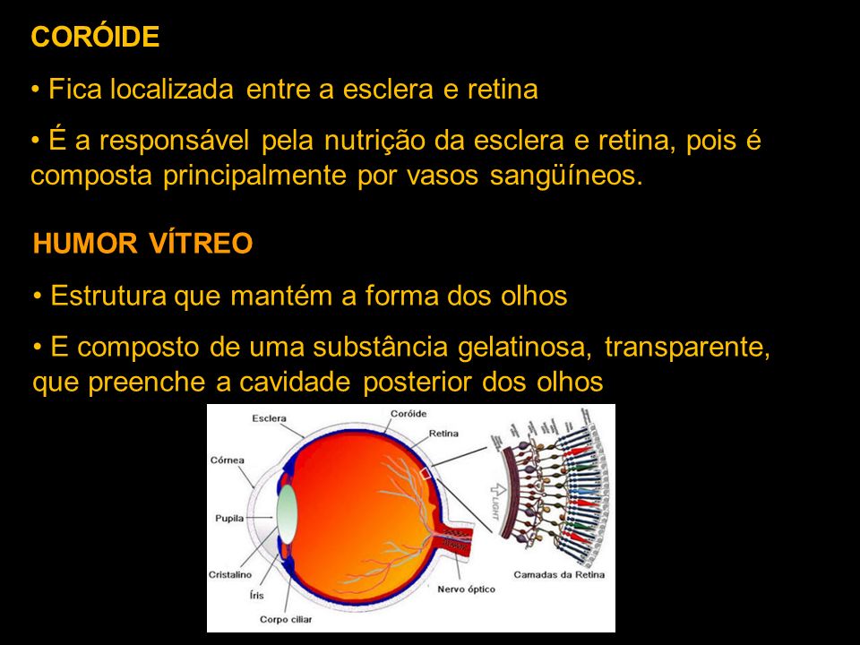 CORÓIDE Fica localizada entre a esclera e retina.