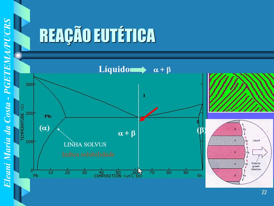REAÇÃO EUTÉTICA Líquido  +  () ()  +  Indica solubilidade
