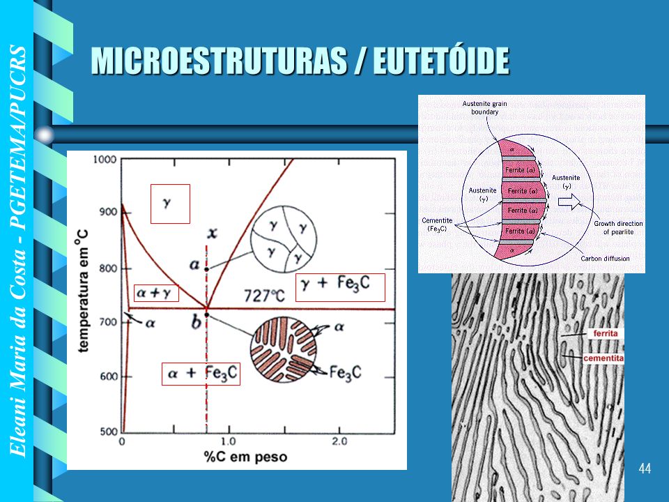 MICROESTRUTURAS / EUTETÓIDE