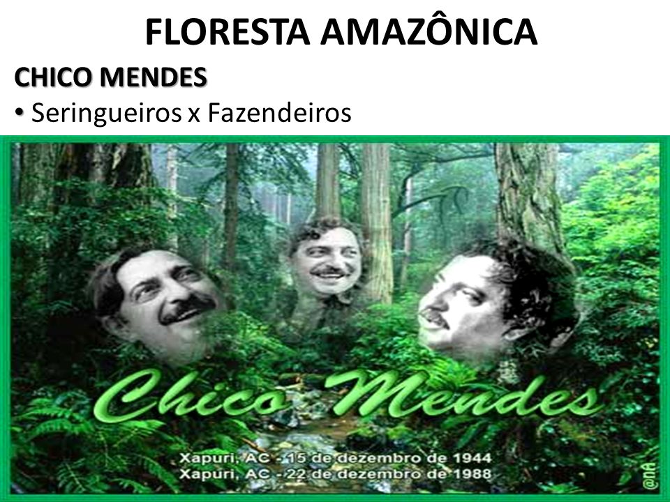 FLORESTA AMAZÔNICA CHICO MENDES Seringueiros x Fazendeiros