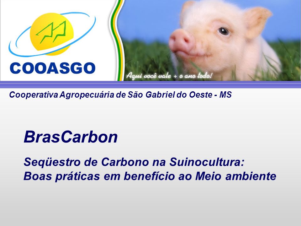 BrasCarbon Seqüestro de Carbono na Suinocultura: