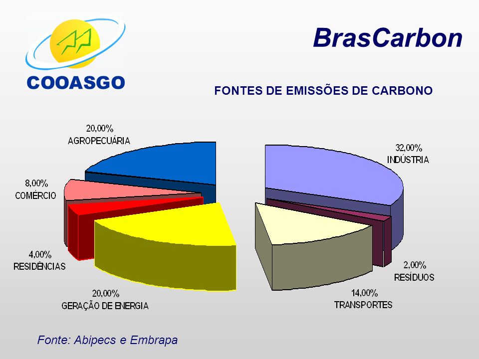 BrasCarbon FONTES DE EMISSÕES DE CARBONO Fonte: Abipecs e Embrapa