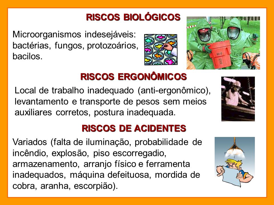 RISCOS BIOLÓGICOS Microorganismos indesejáveis: bactérias, fungos, protozoários, bacilos. RISCOS ERGONÔMICOS.