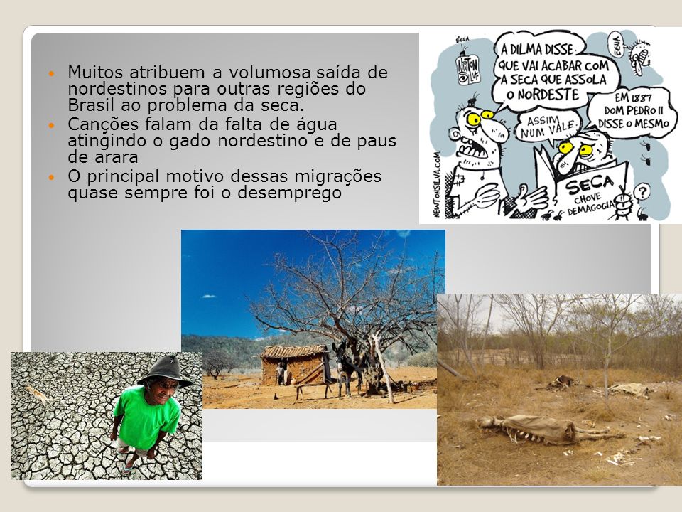 Muitos atribuem a volumosa saída de nordestinos para outras regiões do Brasil ao problema da seca.