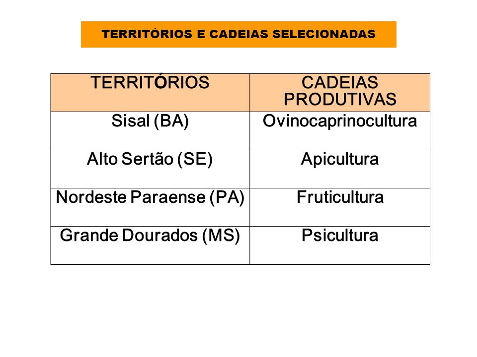 TERRITÓRIOS E CADEIAS SELECIONADAS Nordeste Paraense (PA)
