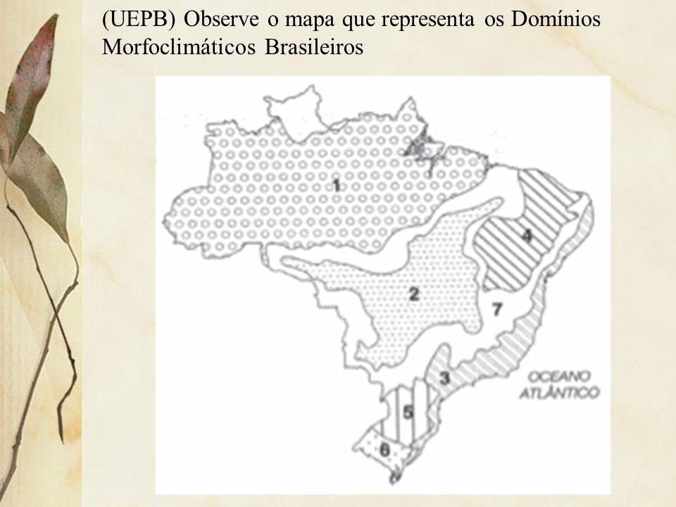 (UEPB) Observe o mapa que representa os Domínios Morfoclimáticos Brasileiros