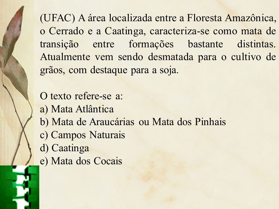 (UFAC) A área localizada entre a Floresta Amazônica, o Cerrado e a Caatinga, caracteriza-se como mata de transição entre formações bastante distintas. Atualmente vem sendo desmatada para o cultivo de grãos, com destaque para a soja.