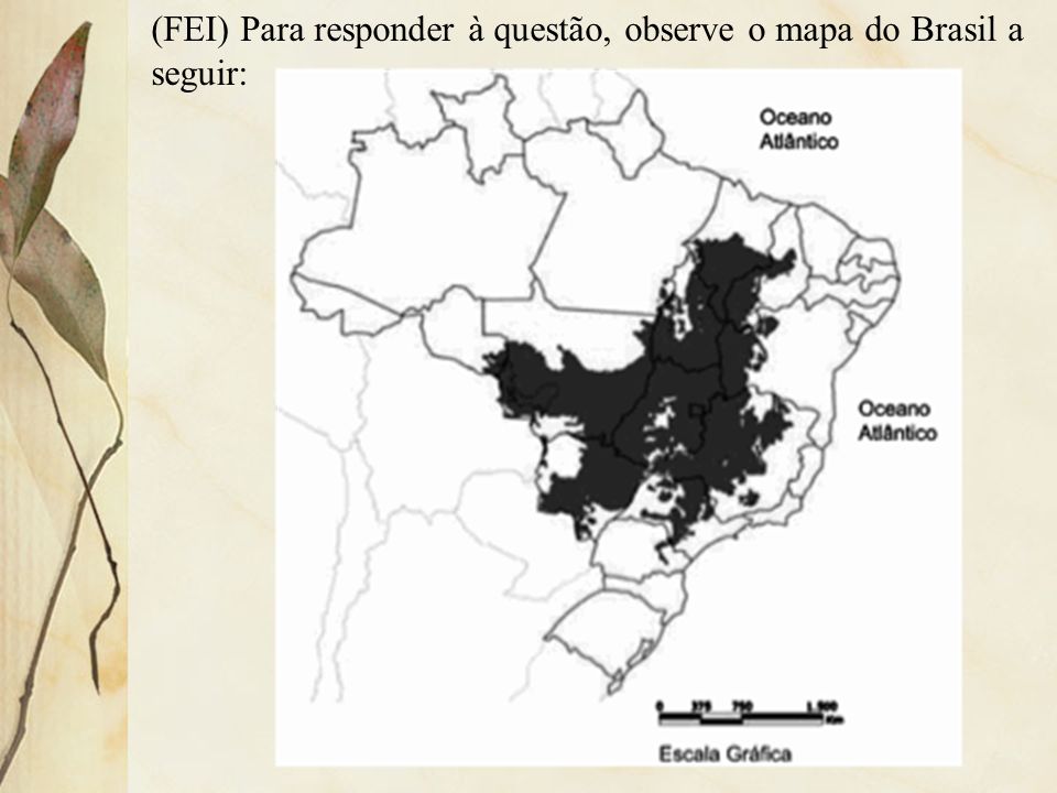 (FEI) Para responder à questão, observe o mapa do Brasil a seguir: