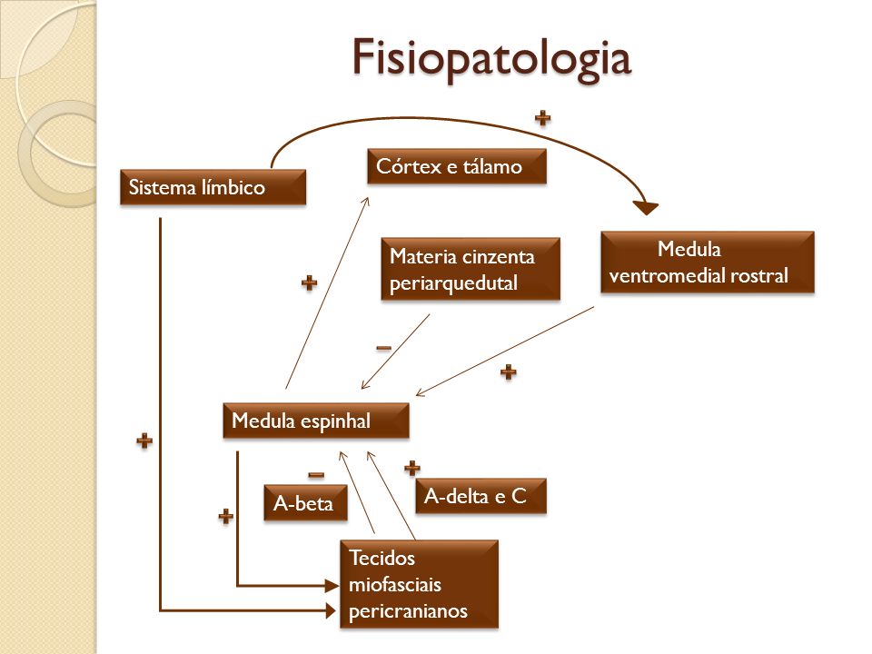 Fisiopatologia Córtex e tálamo Sistema límbico