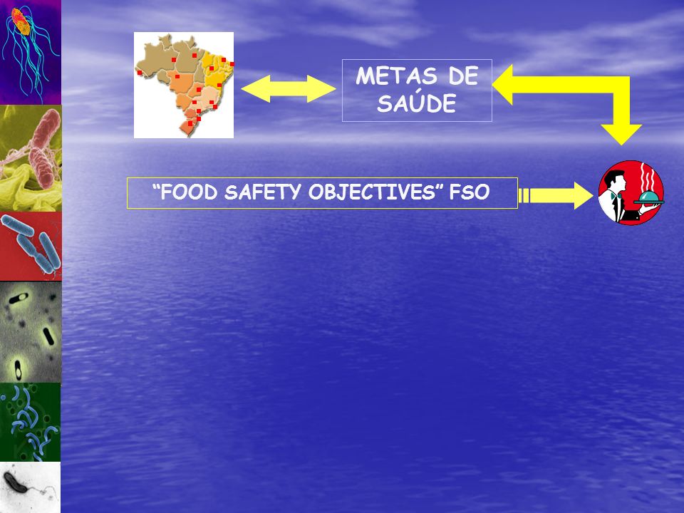 FOOD SAFETY OBJECTIVES FSO