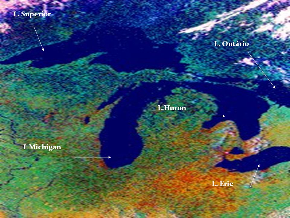 L. Superior L. Ontário L.Huron L Michigan L. Erie