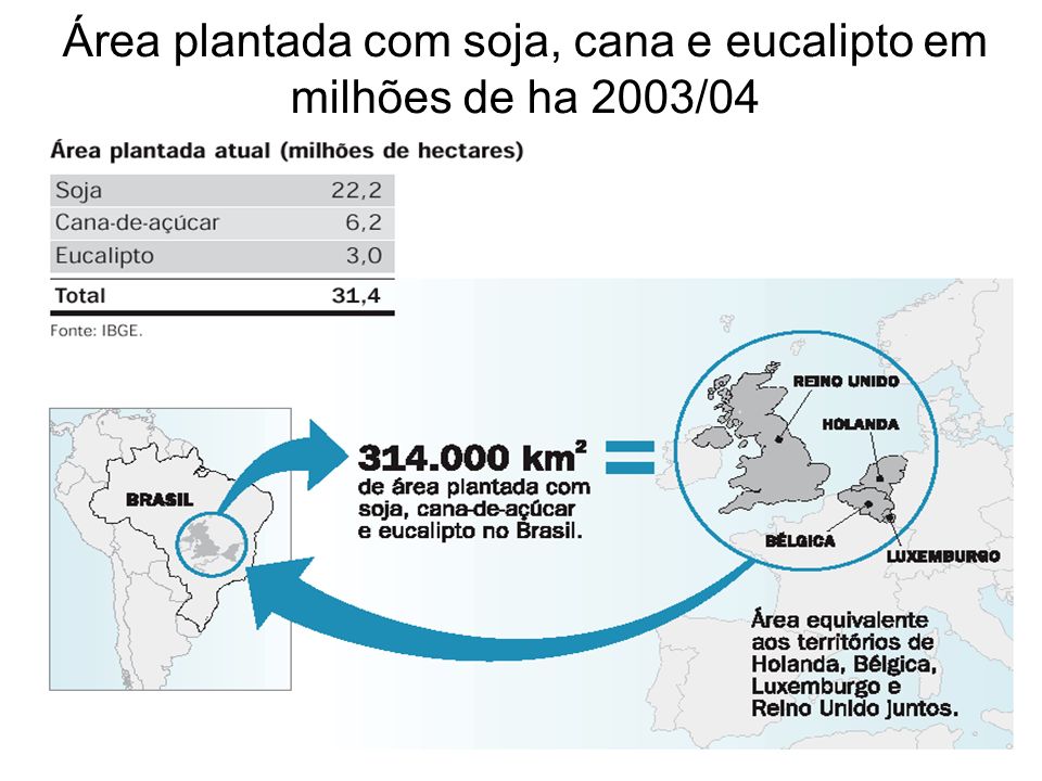 Área plantada com soja, cana e eucalipto em milhões de ha 2003/04