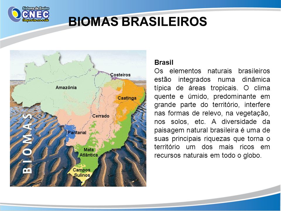 BIOMAS BRASILEIROS Brasil