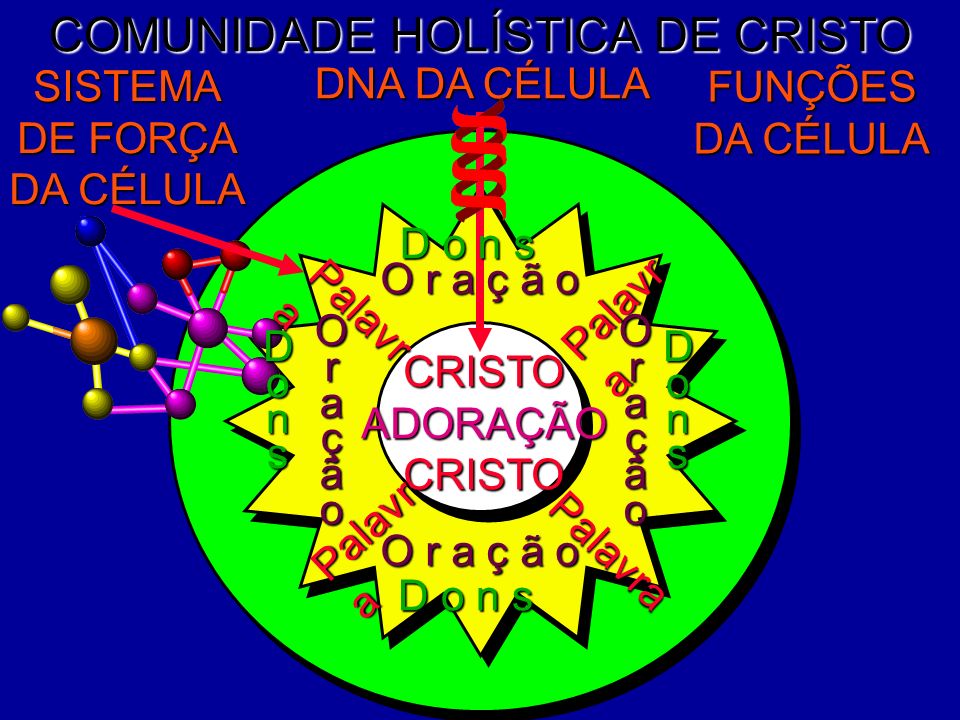 COMUNIDADE HOLÍSTICA DE CRISTO