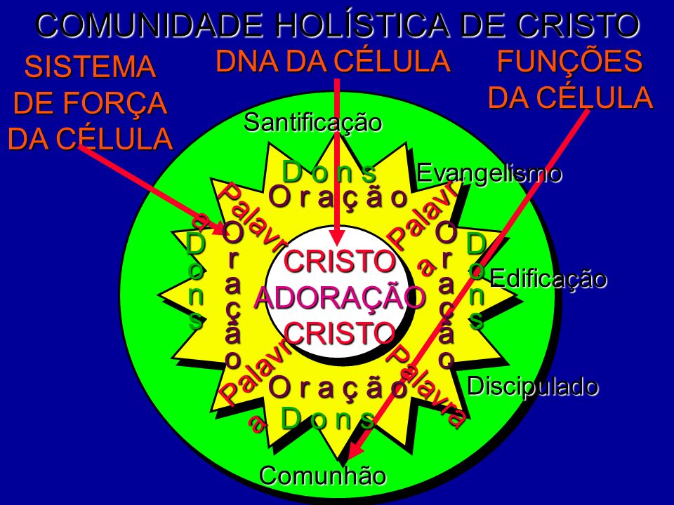COMUNIDADE HOLÍSTICA DE CRISTO