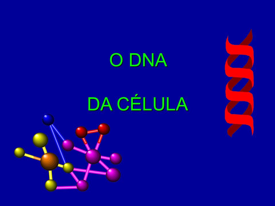 O DNA DA CÉLULA