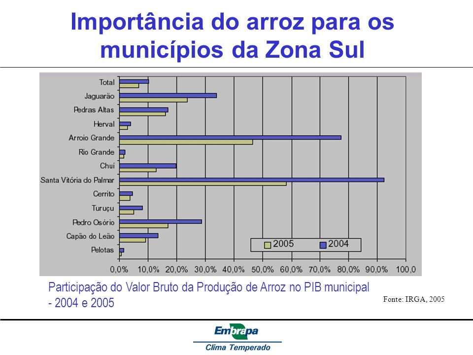 Importância do arroz para os municípios da Zona Sul