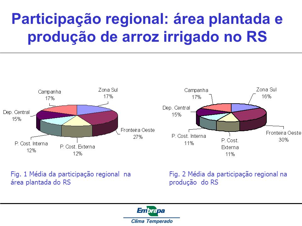 Participação regional: área plantada e produção de arroz irrigado no RS