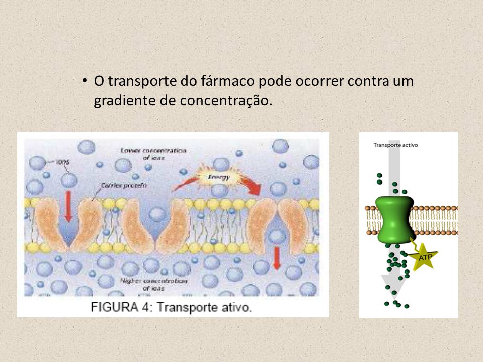 O transporte do fármaco pode ocorrer contra um gradiente de concentração.