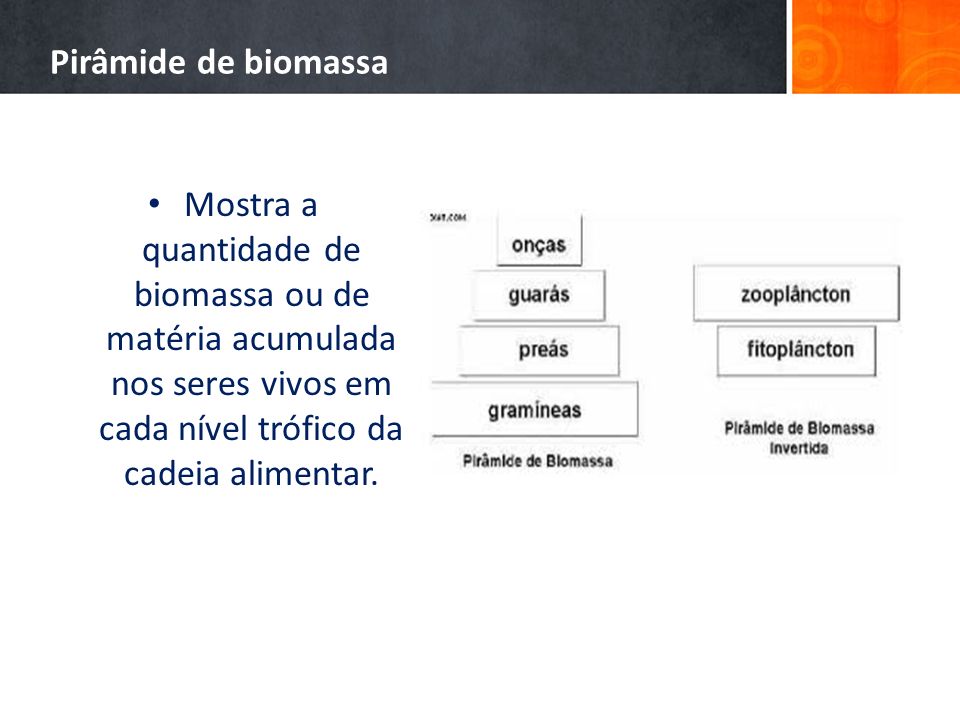 Pirâmide de biomassa Mostra a quantidade de biomassa ou de matéria acumulada nos seres vivos em cada nível trófico da cadeia alimentar.