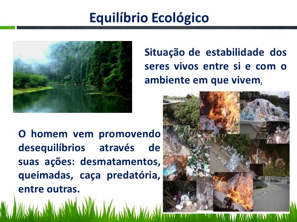 Equilíbrio Ecológico Situação de estabilidade dos seres vivos entre si e com o ambiente em que vivem.