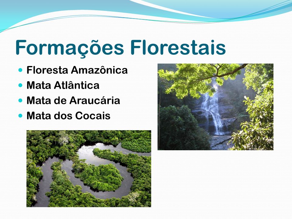 Formações Florestais Floresta Amazônica Mata Atlântica