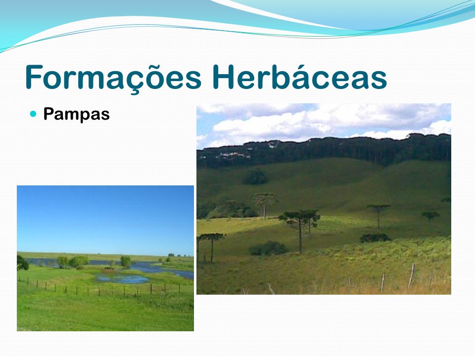 Formações Herbáceas Pampas