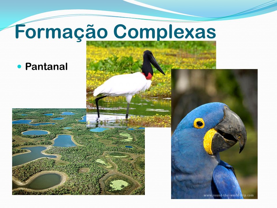 Formação Complexas Pantanal