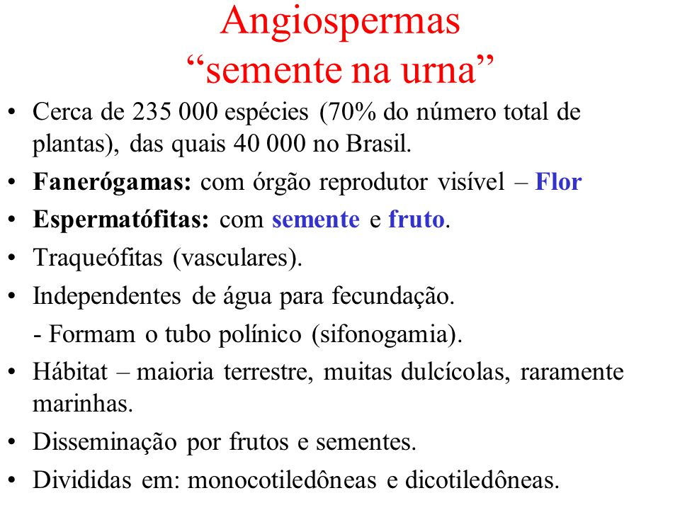 FECUNDAÇÃO DE ANGIOSPERMA - ppt carregar