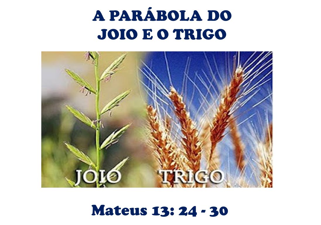 A PARÁBOLA DO JOIO E O TRIGO Mateus 13: