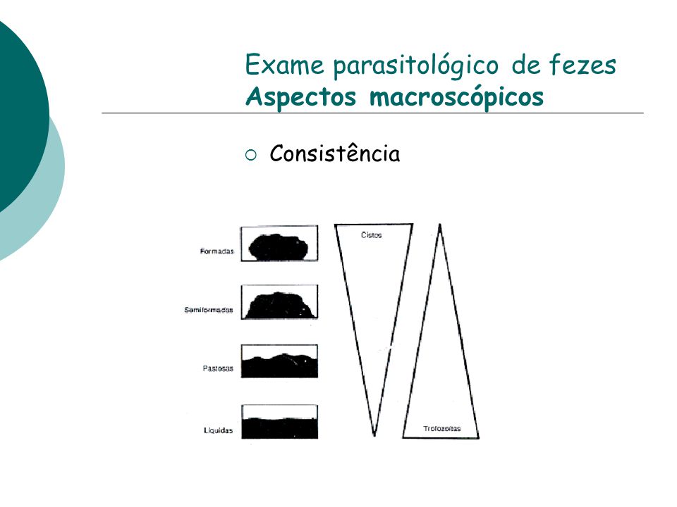 Exame parasitológico de fezes Aspectos macroscópicos