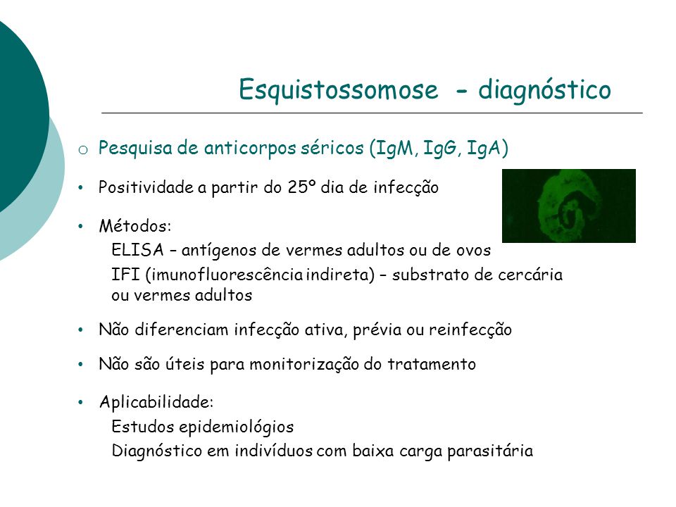 Esquistossomose - diagnóstico