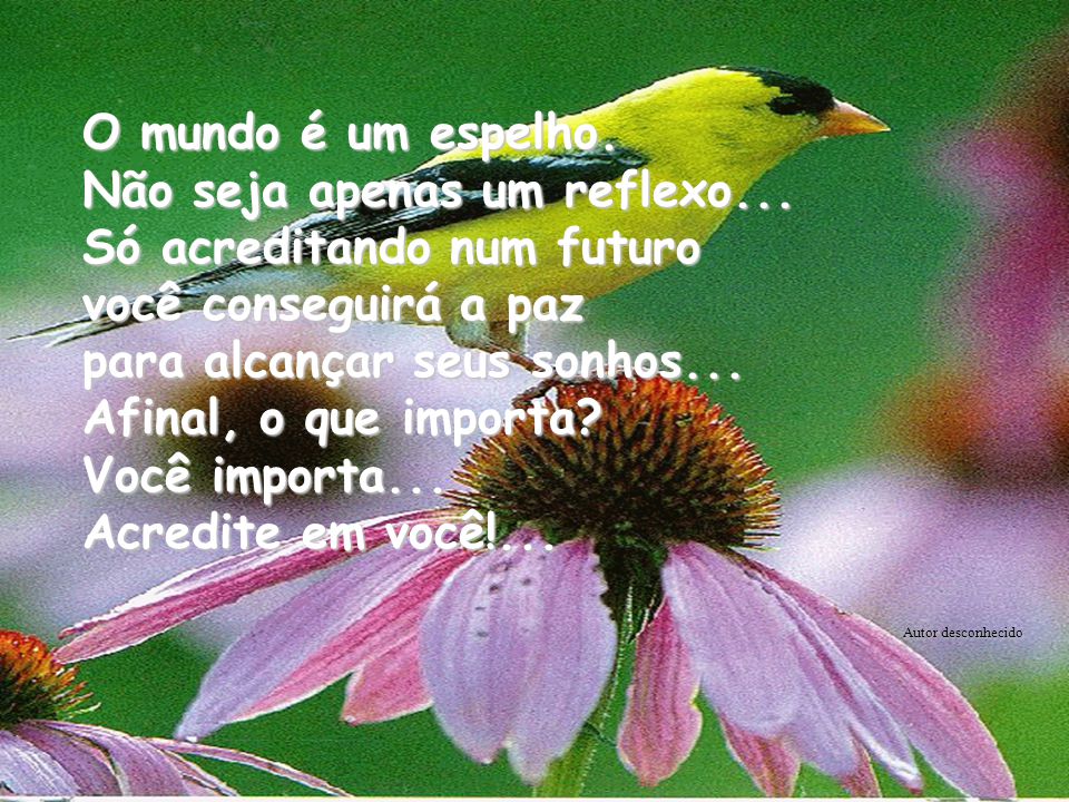 BOM DIA !!!. - ppt carregar BOM DIA !!!. - ppt carregar