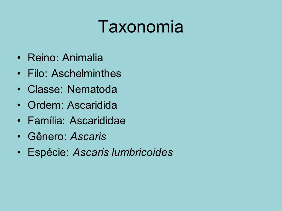 Ascaris taxonómia