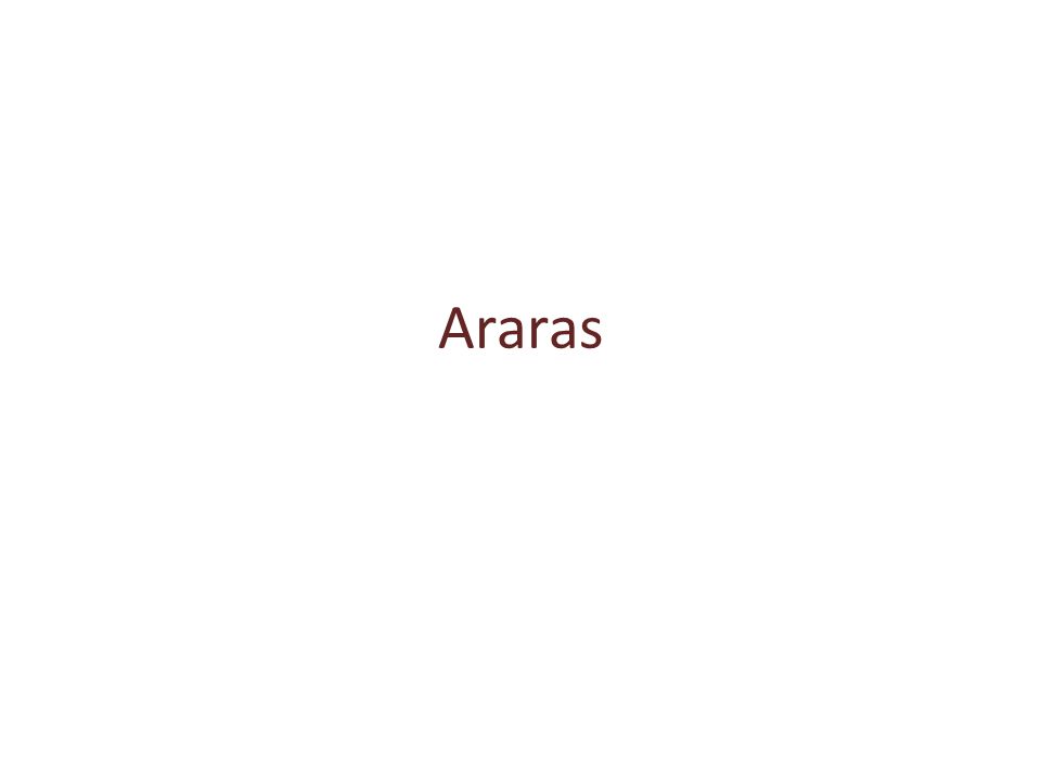 Araras