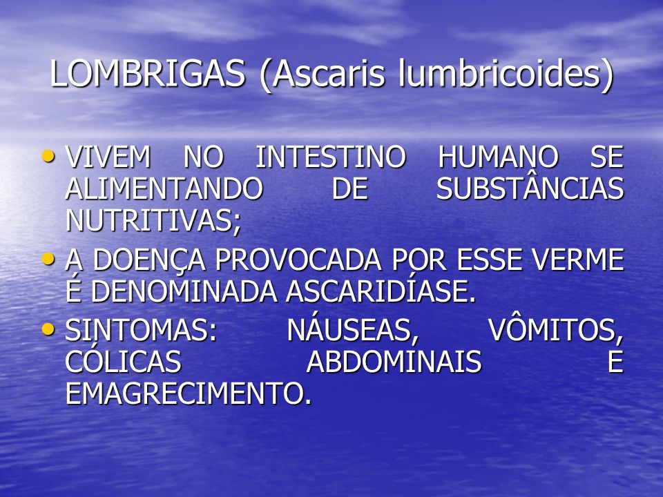 LOMBRIGAS (Ascaris lumbricoides)