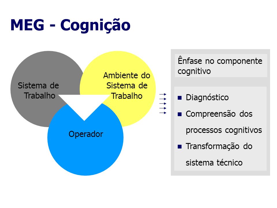 MEG - Cognição Ênfase no componente cognitivo Ambiente do Sistema de