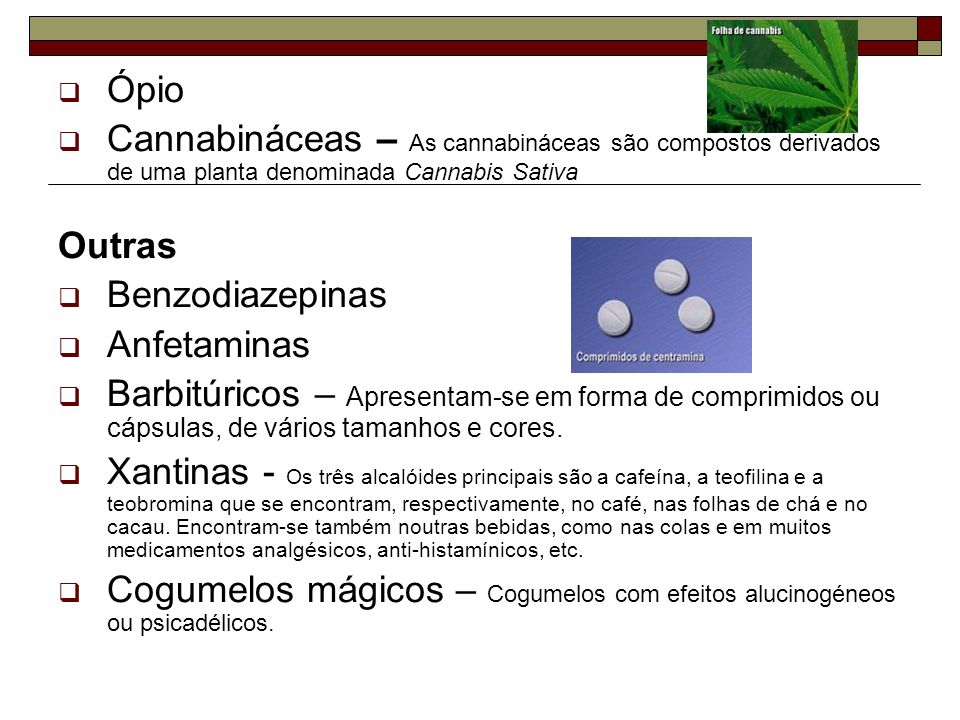 Ópio Cannabináceas – As cannabináceas são compostos derivados de uma planta denominada Cannabis Sativa.