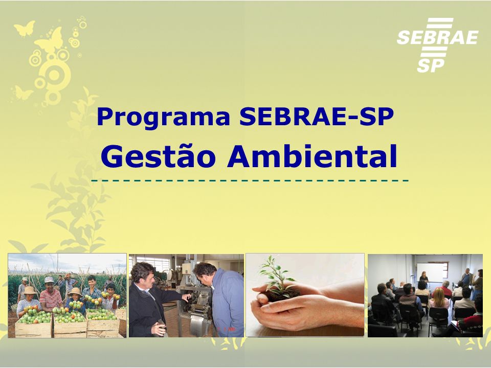 Programa SEBRAE-SP Gestão Ambiental