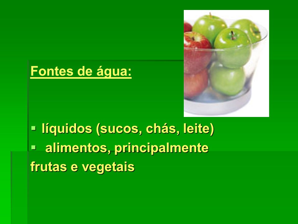 Fontes de água: líquidos (sucos, chás, leite) alimentos, principalmente frutas e vegetais